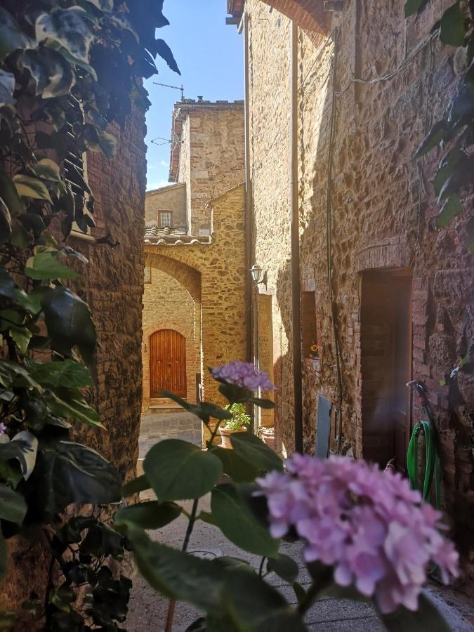 Bed and Breakfast Antico Borgo Di Torri Sovicille Exteriér fotografie