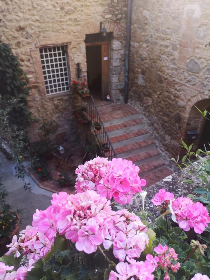 Bed and Breakfast Antico Borgo Di Torri Sovicille Exteriér fotografie
