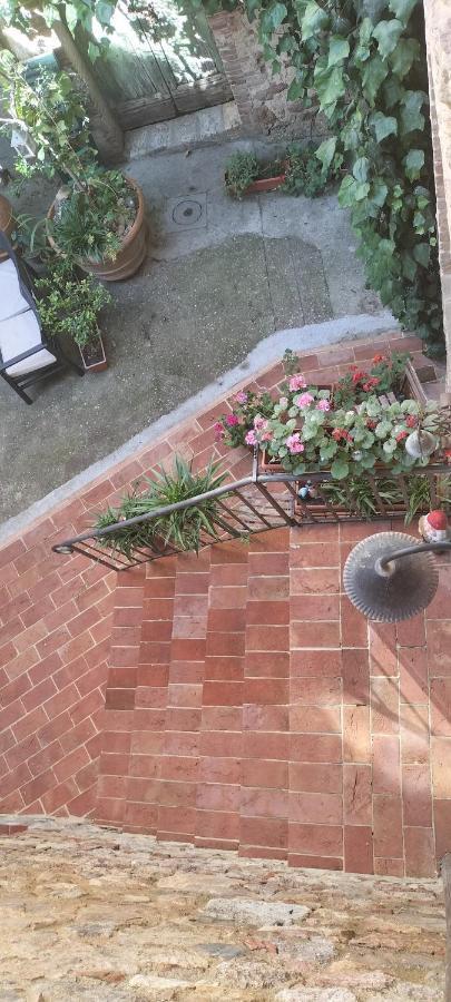 Bed and Breakfast Antico Borgo Di Torri Sovicille Exteriér fotografie