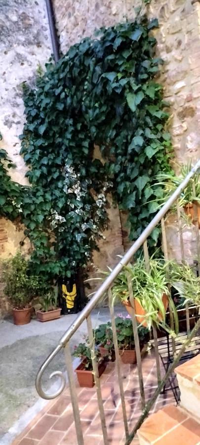 Bed and Breakfast Antico Borgo Di Torri Sovicille Exteriér fotografie